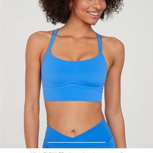 Blue aerie sports bra